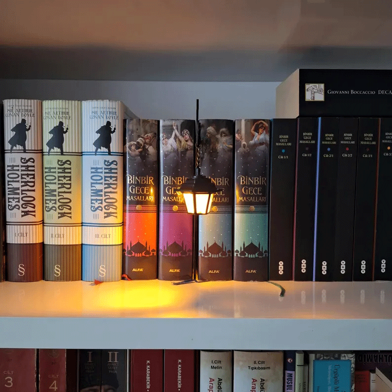 Library Lantern Decorative Bookshelf Lighting - image 3
