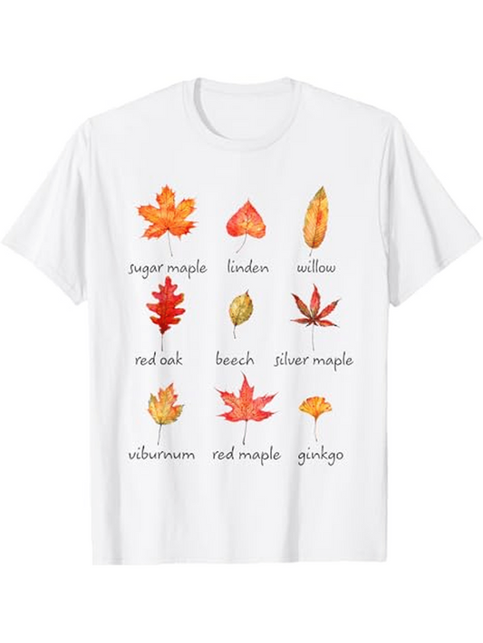 Men's Graphic T-Shirt Colorful Autumn Leaves Collection Featuring Maple Oak Ginkgo And Beech Leaves