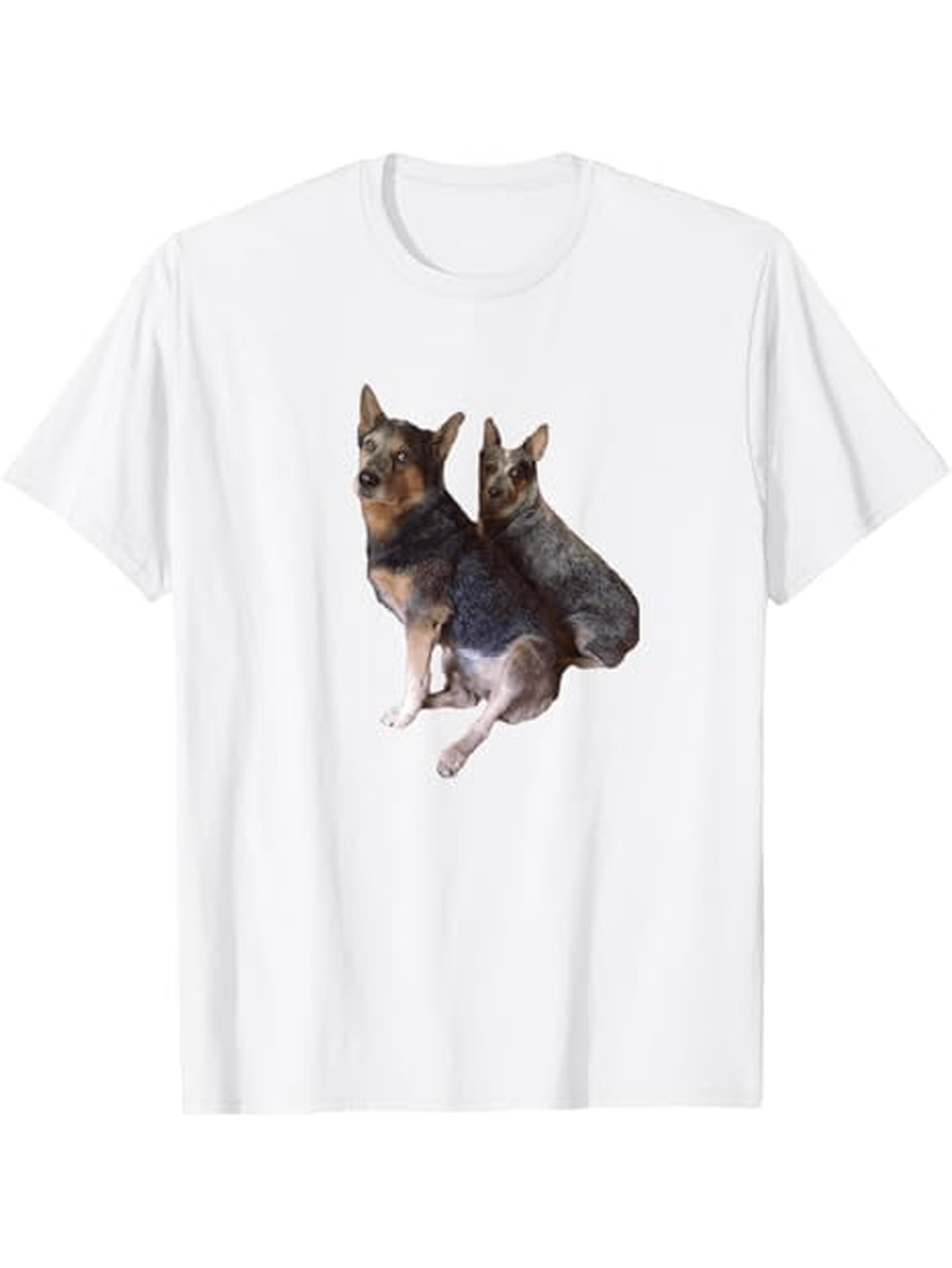 Men's Graphic T-Shirt Fluffy Brown And Black Coated Corgis Sitting Side By Side Under Soft Lighting Dog