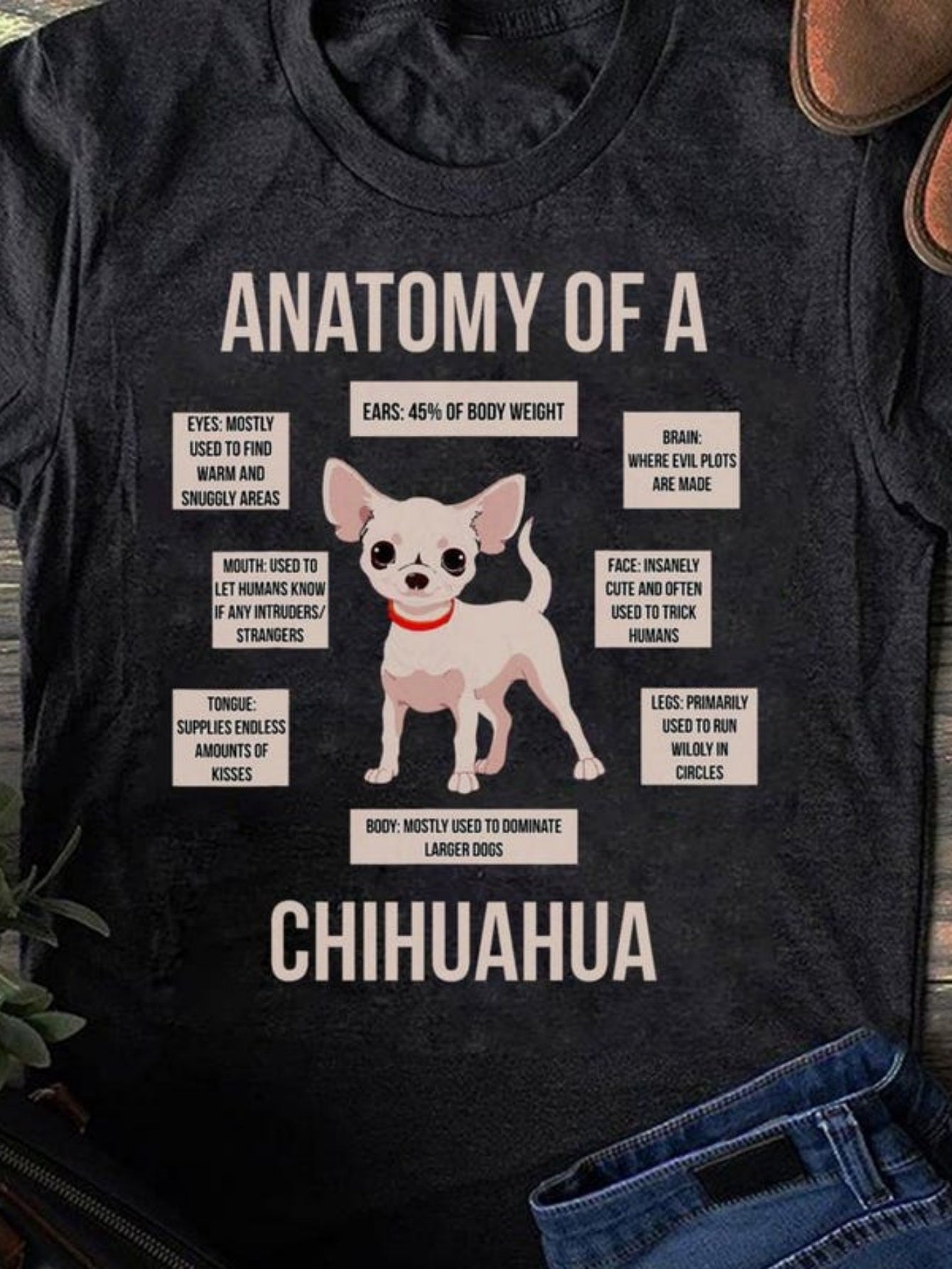 Men's Graphic T-Shirt Anatomy Of A Chihuahua With Descriptive Labels Surrounding Cartoon Dog
