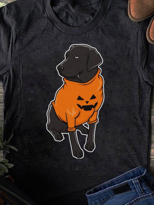 Women's Graphic T-Shirt Cute Dog Wearing Orange Pumpkin Sweatshirt Sitting Calmly Dog