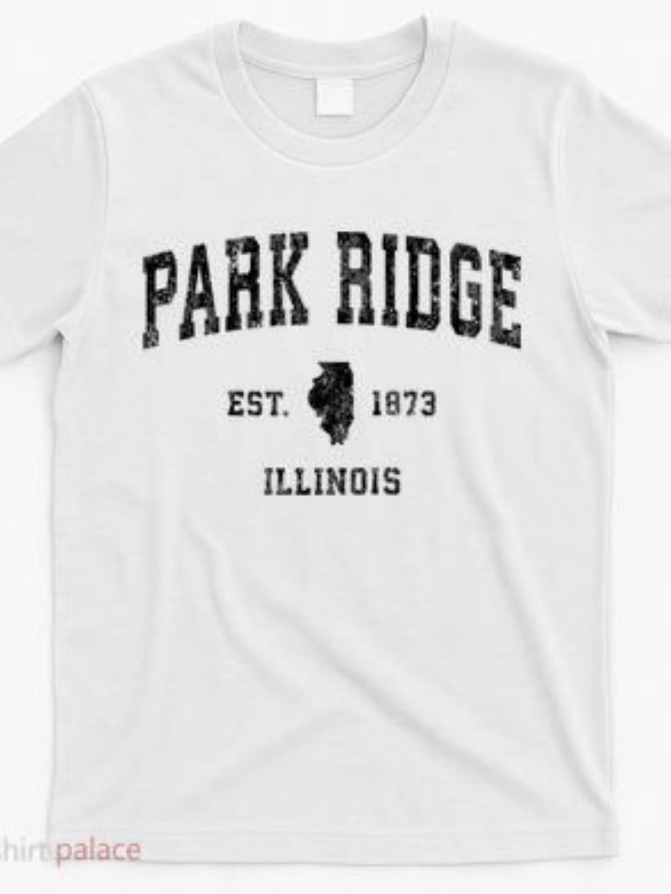 Men's Graphic T-Shirt Park Ridge Illinois Established Date With Central Emblem On White Shirt