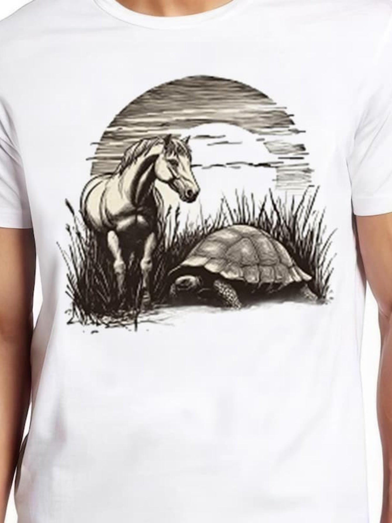 Men's Graphic T-Shirt Sunset Grassland With Grazing Horse And Calm Resting Tortoise