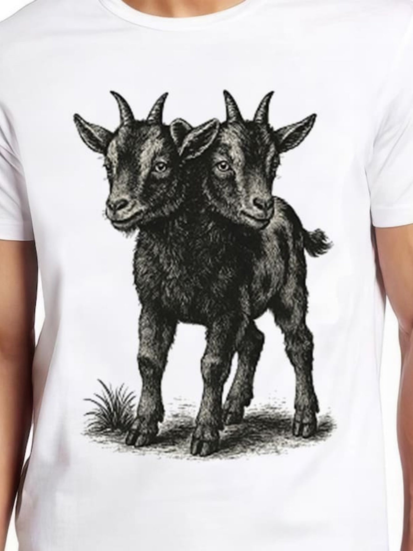 Men's Graphic T-Shirt Vintage Ink Illustration Of Two Headed Standing Goat