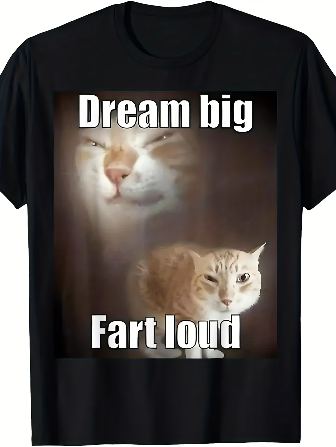 Men's Graphic T-Shirt Dream Big Fart Loud With Orange Tabby Cat Staring Blankly
