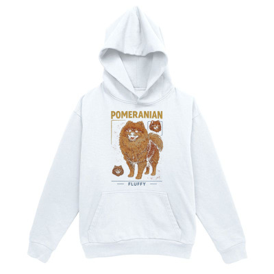 Men's Graphic Hoodie Pomeranian Fluffy Brown Dog Surrounded By Playful Ball Toys Hoodie