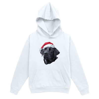 Men's Graphic Hoodie Festive Holiday Dog Wearing Red Santa Hat Labrador