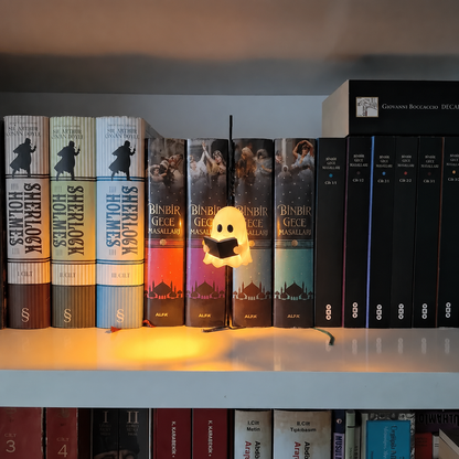 Library Lantern Decorative Bookshelf Lighting - image 9